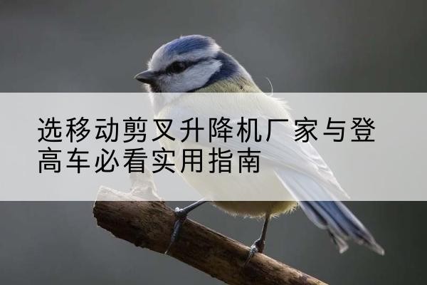 兴隆电动升降机厂家-选移动剪叉升降机厂家与登高车必看实用指南