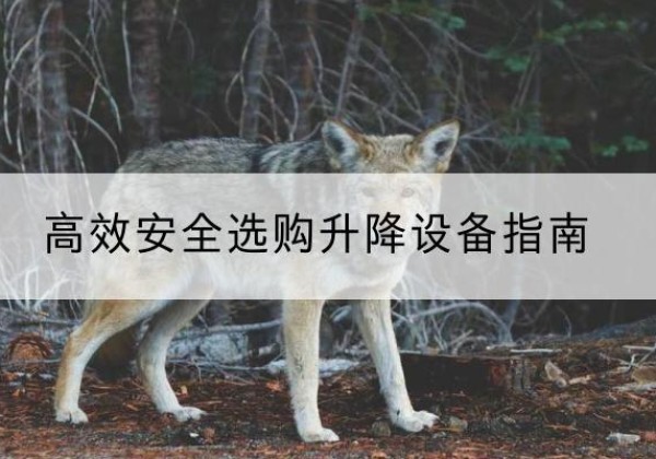 兴隆升降货梯厂家推荐-*安全选购升降设备指南